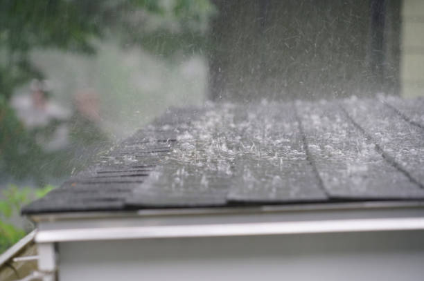 Best 4 Ply Roofing  in Auburn, GA