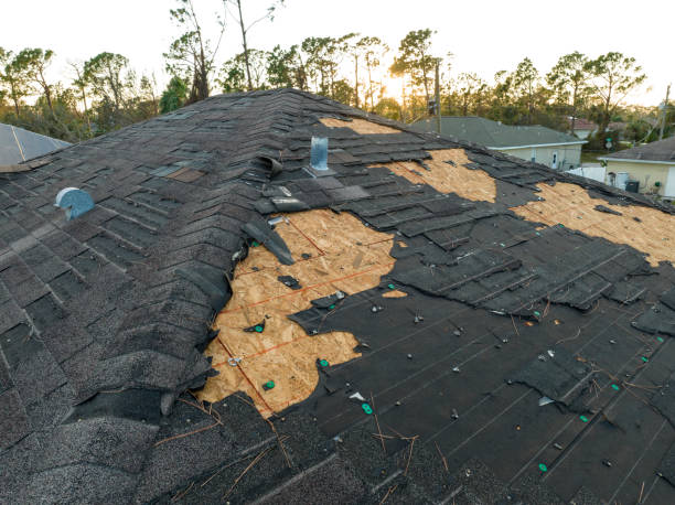 Best Roof Coating and Sealing  in Auburn, GA